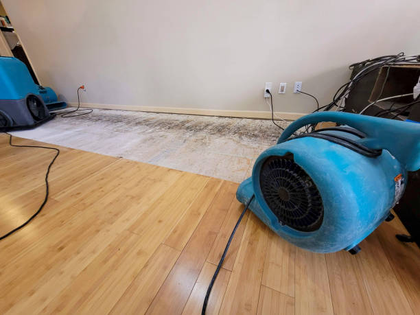 Professional Structural Drying technician working in Ketchum, ID